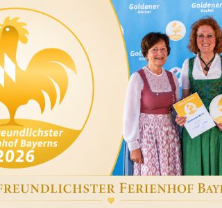 Goldener Gockel