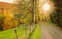 Herbstwanderweg - Wellnesshof Blenk - 5 Sterne Ferienwohnungen in Wertach im Allgäu