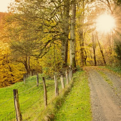 Herbstwanderweg - Wellnesshof Blenk - 5 Sterne Ferienwohnungen in Wertach im Allgäu