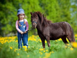 Kind mit Pferd | Wellnesshof Blenk - 5 Sterne Ferienwohnungen in Wertach im Allgäu