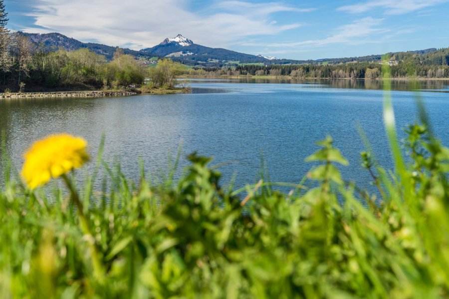 Grüntensee im Frühling - Wellnesshof Blenk - 5 Sterne Ferienwohnungen in Wertach im Allgäu