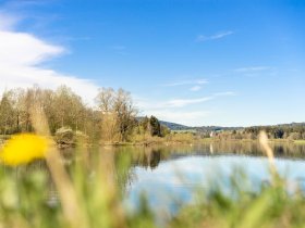 Frühlinghafte Atmosphäre - Wellnesshof Blenk - 5 Sterne Ferienwohnungen in Wertach im Allgäu