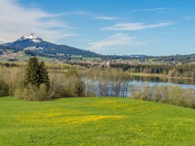 Frühlingswiesen- Wellnesshof Blenk - 5 Sterne Ferienwohnungen in Wertach im Allgäu
