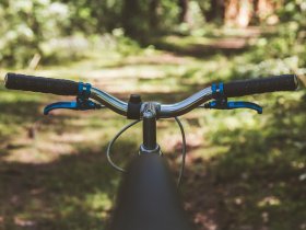 Mit dem Fahrrad durch den Wald - Wellnesshof Blenk - 5 Sterne Ferienwohnungen in Wertach im Allgäu