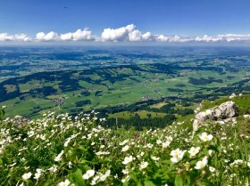 Grünten - Wellnesshof Blenk - 5 Sterne Ferienwohnungen in Wertach im Allgäu
