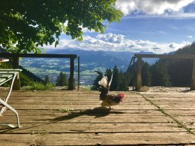 Terrasse Grüntenhaus - Wellnesshof Blenk - 5 Sterne Ferienwohnungen in Wertach im Allgäu