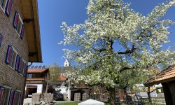 Mittelberg