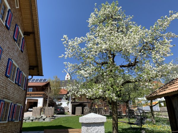 Mittelberg