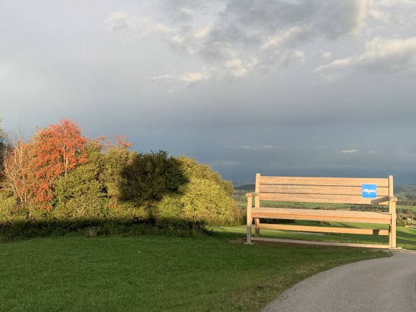 Wanderbank im Herbst