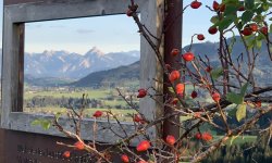 Panoramaweg Säuling mit Hagebutte