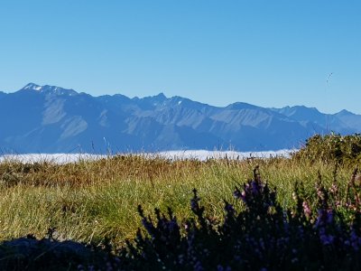 Blick vom Venet