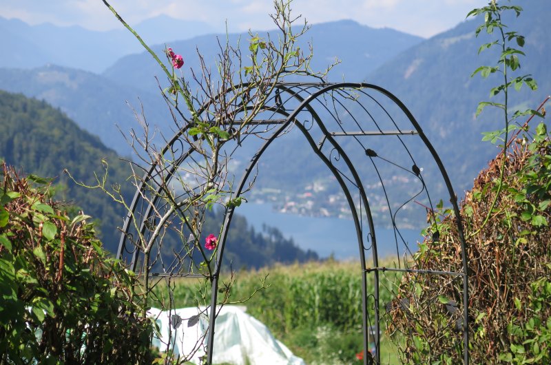 Blick zum Wörthersee