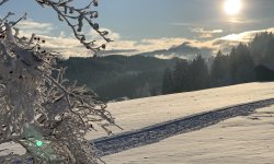 Winterlandschaft