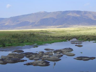 Ngorongoro 7