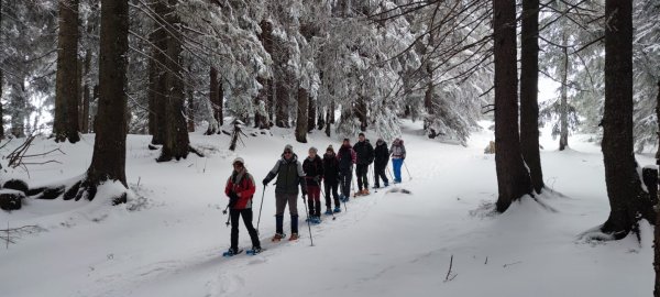 Schneeschuhgruppe im Winterwald