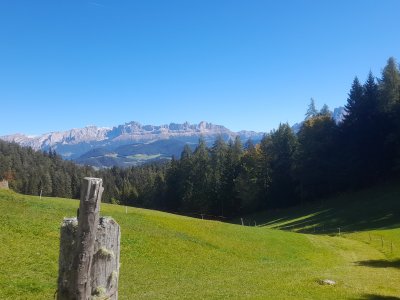 Deutschnofen - Bozen (2)