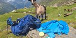 Urwege II Geiß mit Rucksack