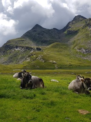 Spronser Seen V