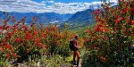Patagonien Robert bei Cerro Castillo