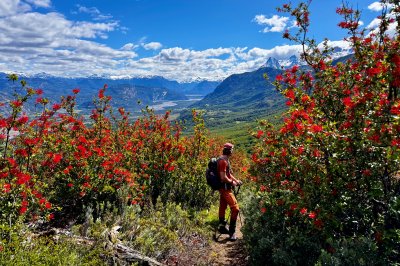 Patagonien Robert bei Cerro Castillo