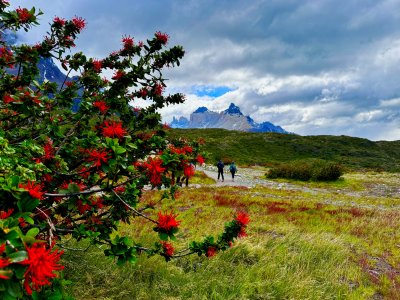 Cuernos Patagonien