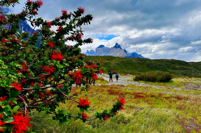 Cuernos Patagonien