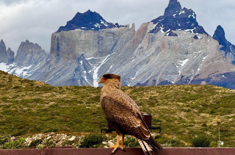 Refugio Paine Grande Patagonien