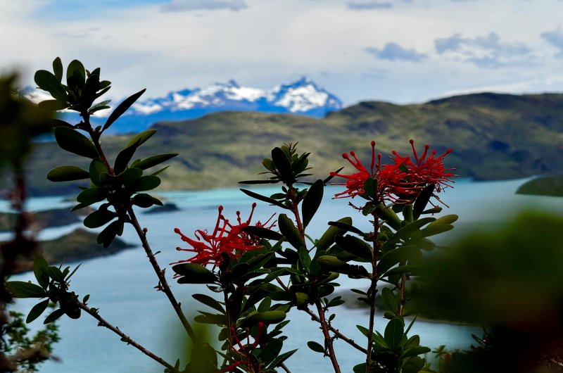 W Trek Torres Del Paine Nationalpark