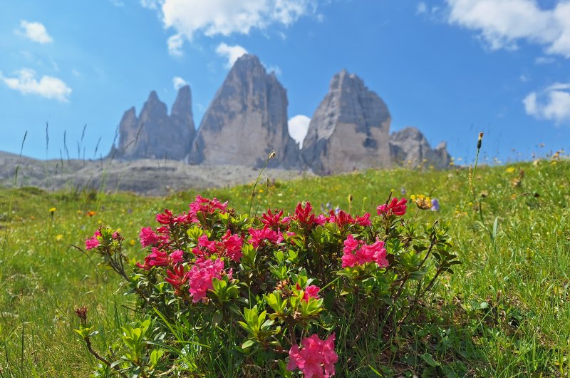 Drei Zinnen Dolomiten