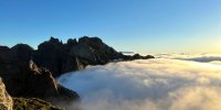 Madeira von Chrissi