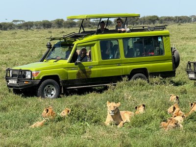 Ndutu Wildlife
