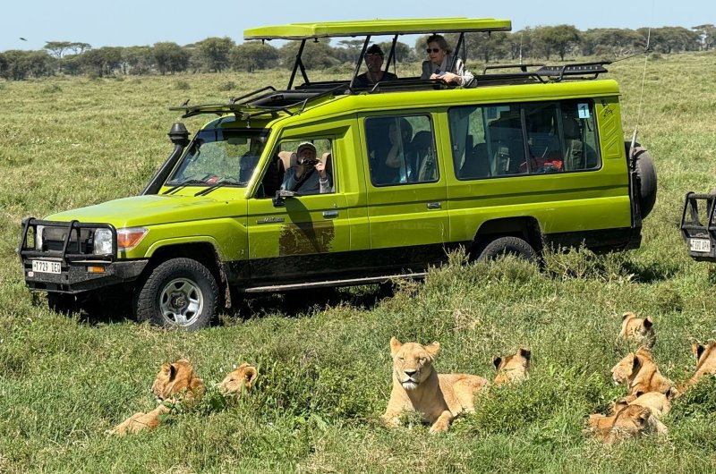 Ndutu Wildlife