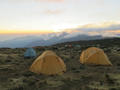 IMG 0194