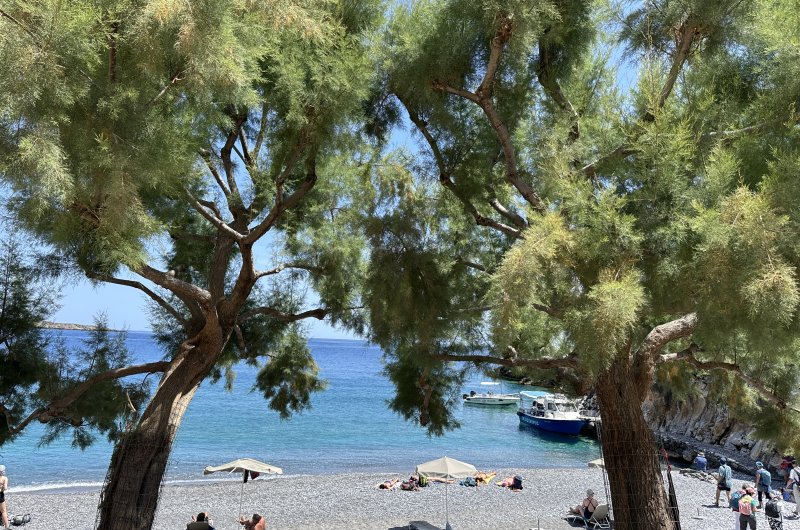 Marmara Strand mit Pinien