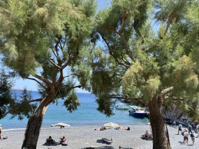 Marmara Strand mit Pinien