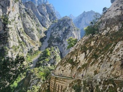 Cares Schlucht Picos de Europa