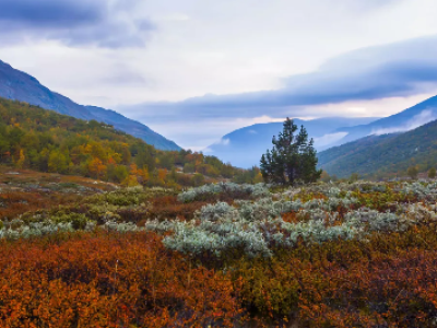 Norwegen