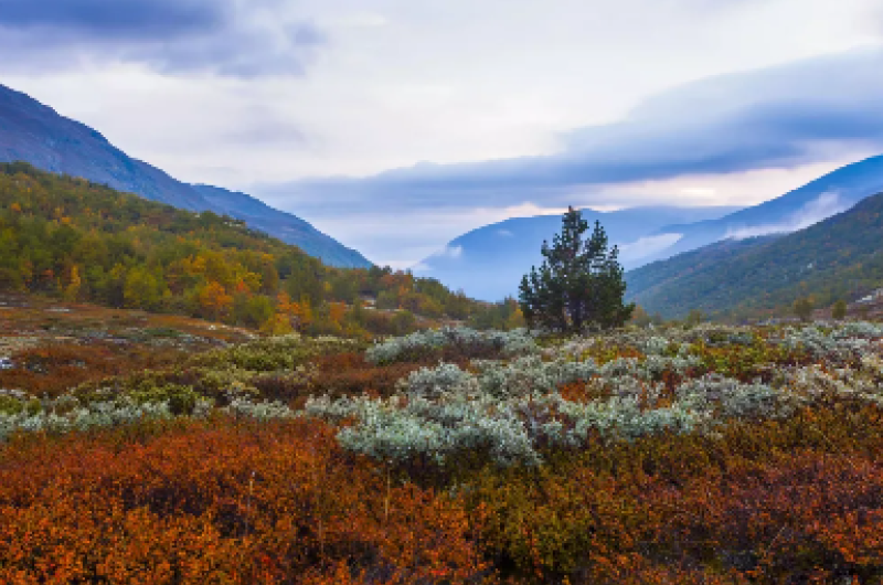 Norwegen