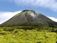 Der Pico, Portugals höchster Berg