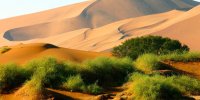 Namib Naukluft Park