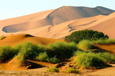 Namib Naukluft Park