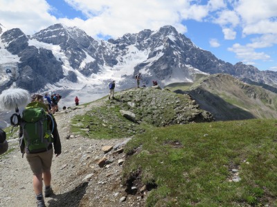 Madritschjoch mit Blick auf Ortler
