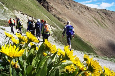 Höhenweg mit Blumen