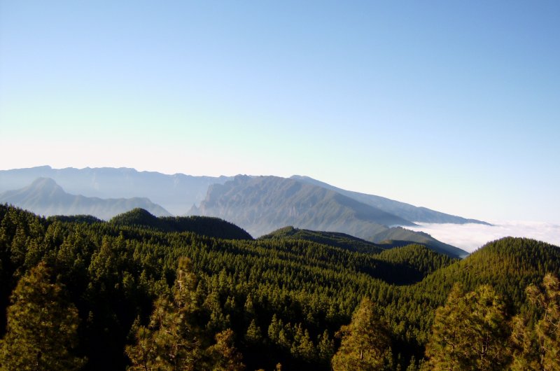 Panorama La Palma