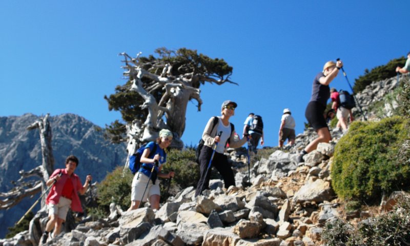 Kreta - Auf den Gingilos