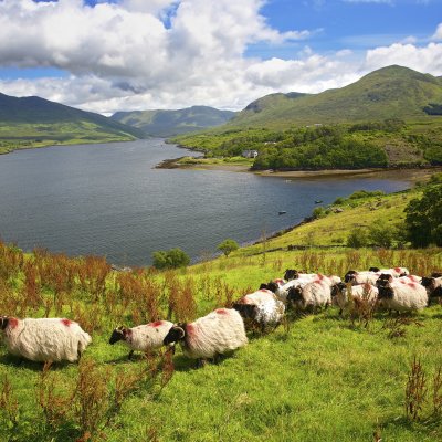 Killary Harbour 2