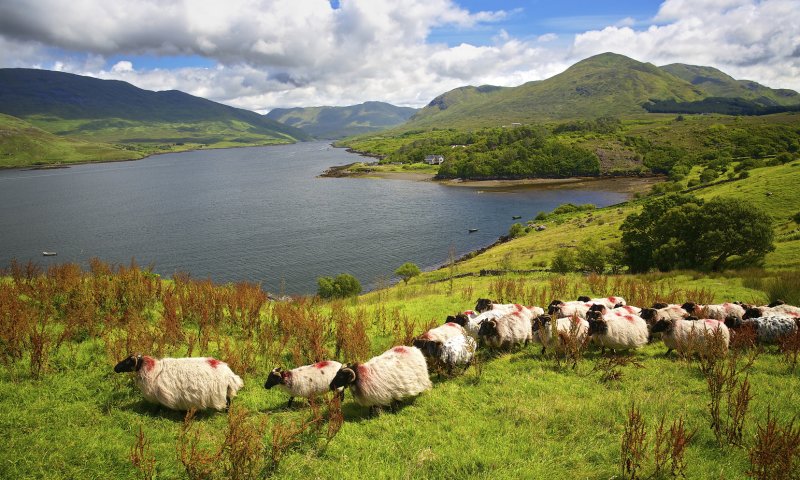 Killary Harbour 2