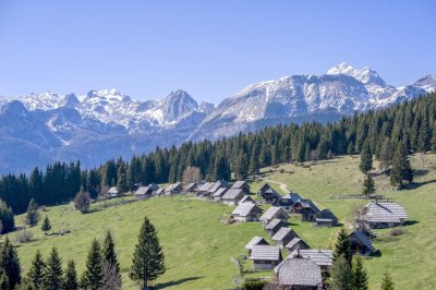 Pokljuka-244355