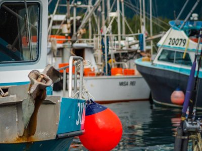 Vancouver Island - Hafen