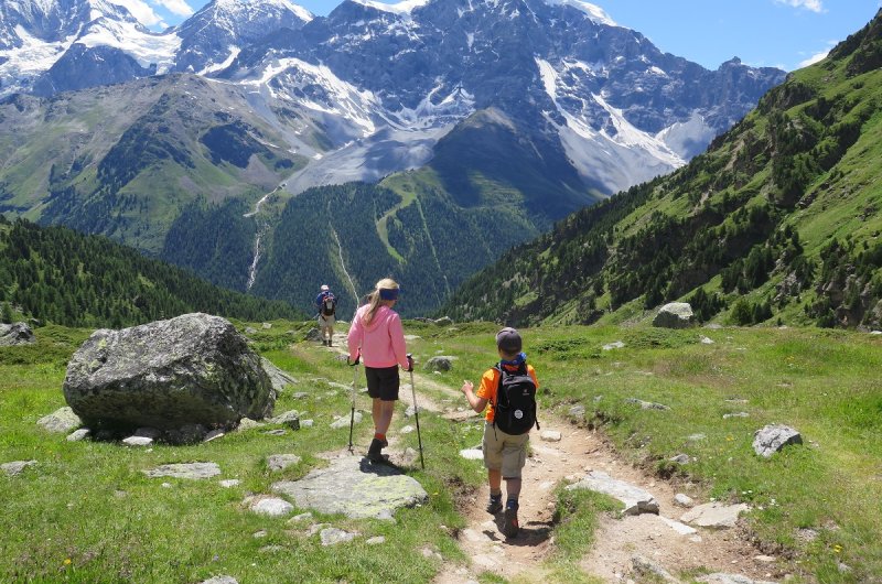Ortler von Düsseldorfer Hütte aus